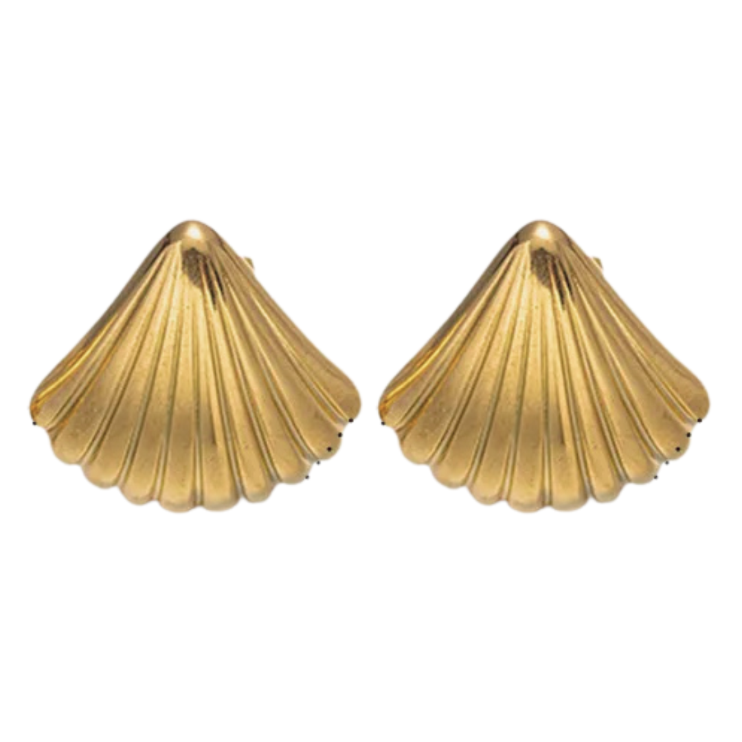 Fan Shell Small Statement Stud Earrings