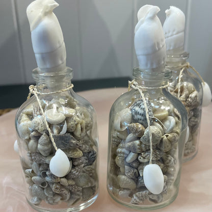 Sea Shells in a Mini Glass Bottle