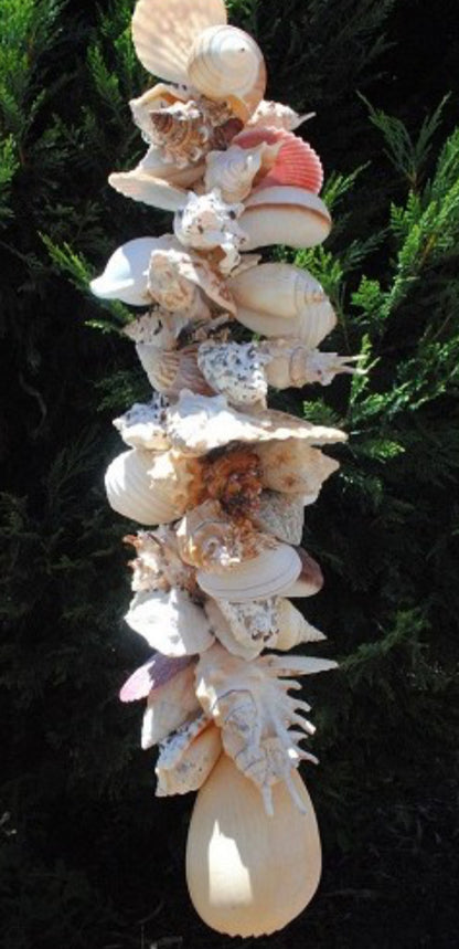 Loloma Shell Cluster Hanging - Large