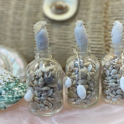 Sea Shells in a Mini Glass Bottle