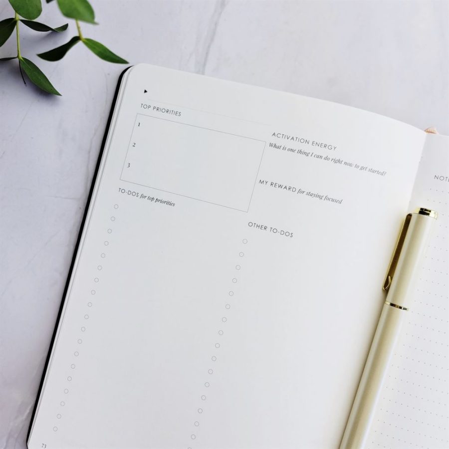 Day Organiser - Make Your Mark 'Set For Success' Daily Planner Journal Ivory