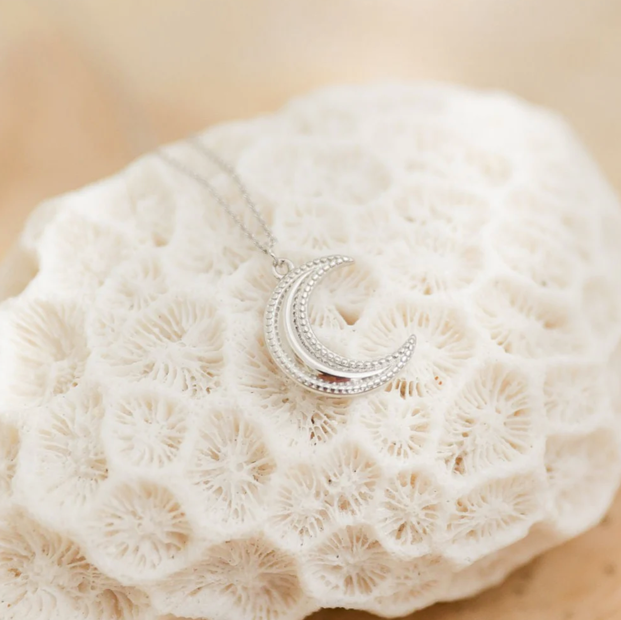 Crescent Moon Necklace Silver