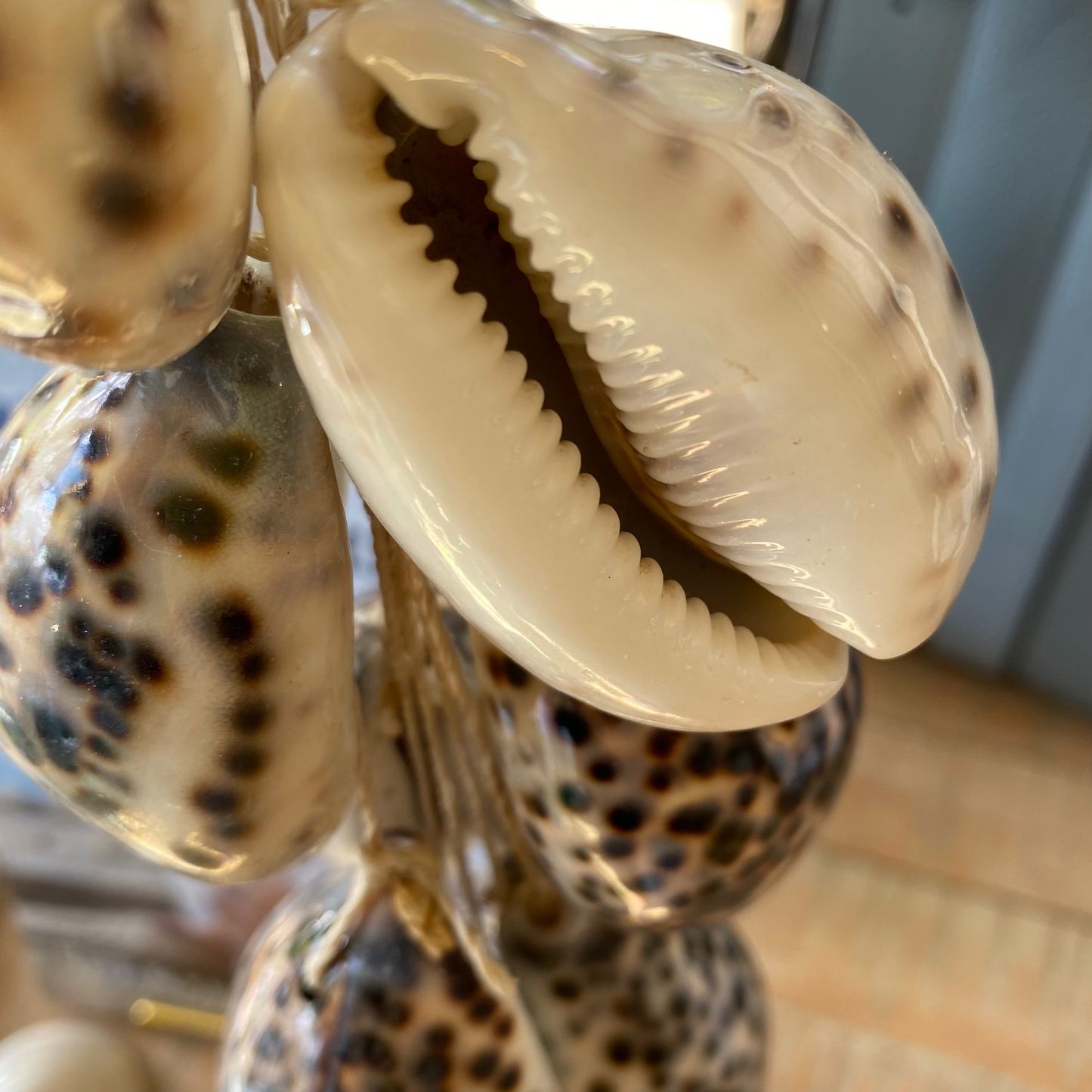 Tiger Cowrie Shell Rope Hanging